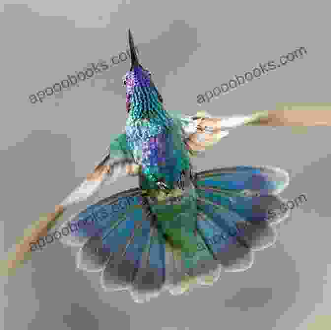 A Close Up Photograph Of A Hummingbird In Flight, Its Wings Extended And Iridescent Feathers Shimmering In The Sunlight. Birdeye : Second Edition Sarah Giles