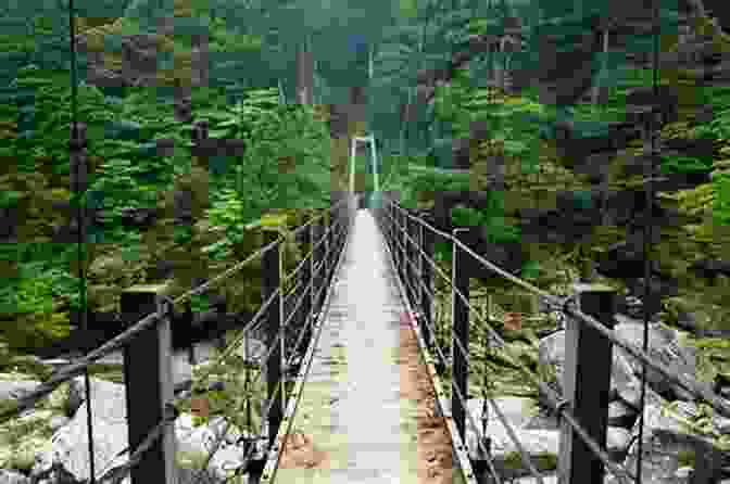 A Hiker Walking Along A Mountain Trail In Japan, Surrounded By Lush Greenery And Distant Mountains Samurai Trails: A Chronicle Of Wanderings On The Japanese High Road