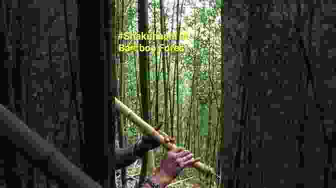 A Person Playing The Shakuhachi In A Peaceful Forest Setting Blow Your Mind Ride Your Tone: The Conquest Of Shakuhachi Discovering Your Inner Singing