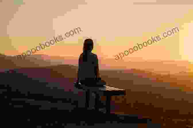 A Woman Sitting On A Bench, Looking Out At A Sunset, With The Book The Last Goodbye: A Novel