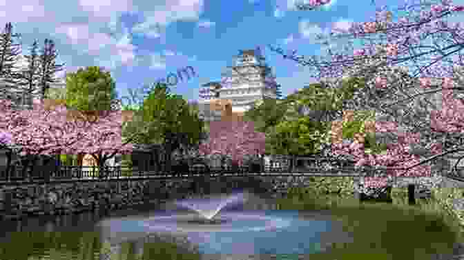 Aerial View Of Himeji Castle Against A Backdrop Of Cherry Blossoms Himeji Castle Youme Inoue