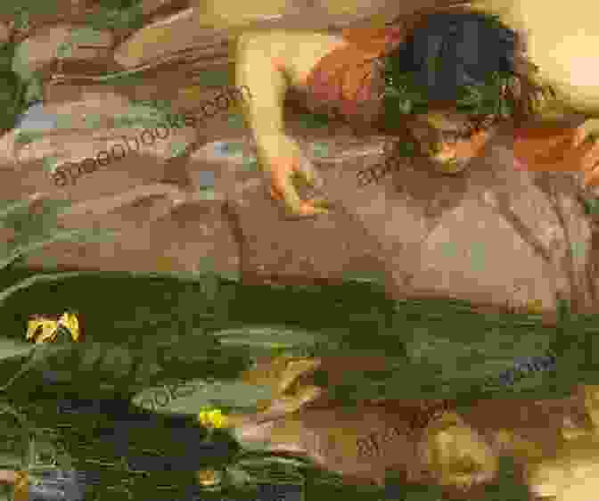 An Illustration Of Narcissus Gazing At His Reflection In A Pool Of Water The Rage Of Narcissus (Oberon Modern Plays)