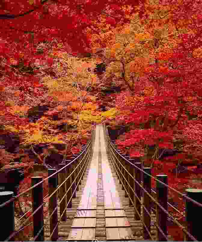 Autumn In Japan: A Photographer's Journey Autumn In Japan (JPA) William Schemmel