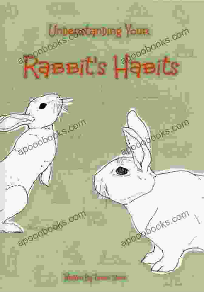 Book Cover For Understanding Your Rabbit Habits By Tamsin Stone Understanding Your Rabbit S Habits Tamsin Stone