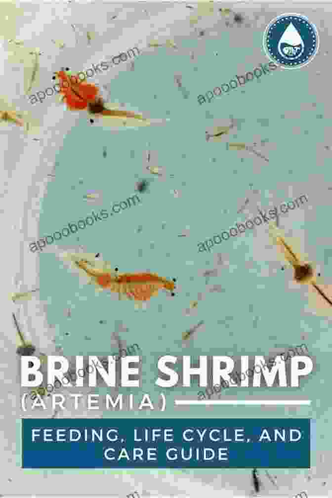 Brine Shrimp, A Highly Nutritious Live Food For Aquarium Fish The Aquarimax Guide To Seven Easy Live Foods