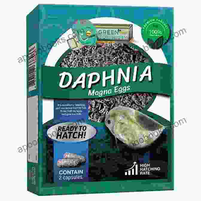 Daphnia, A Nutrient Rich Live Food That Promotes Fish Growth The Aquarimax Guide To Seven Easy Live Foods
