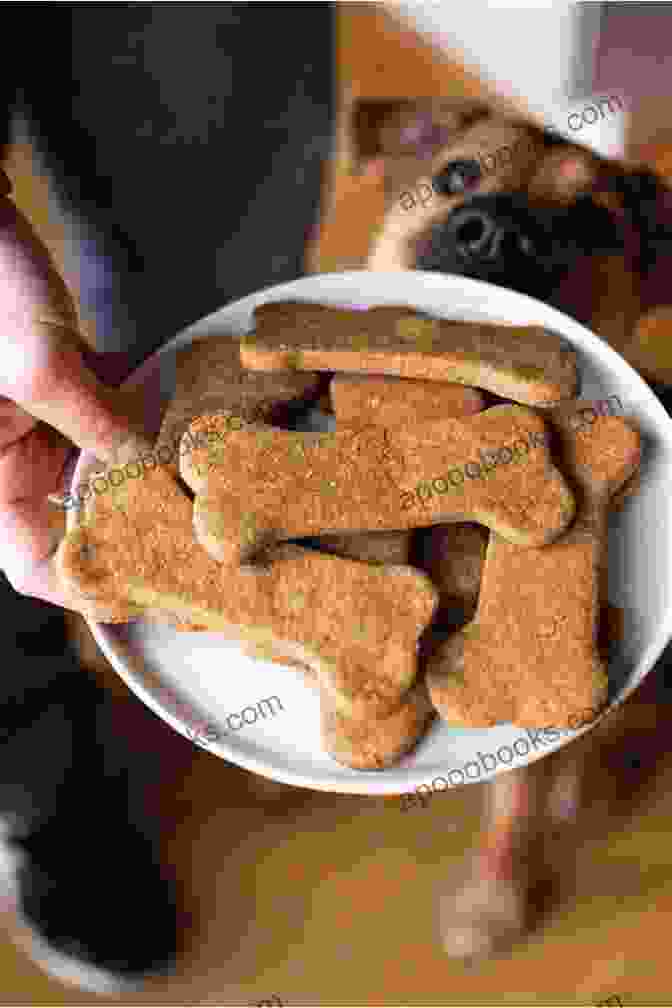 Dog Enjoying Homemade Treats Easy Homemade Dog Treat Recipes: Fun Homemade Dog Treats For The Busy Pet Lover (Dog Training And Dog Care 2)