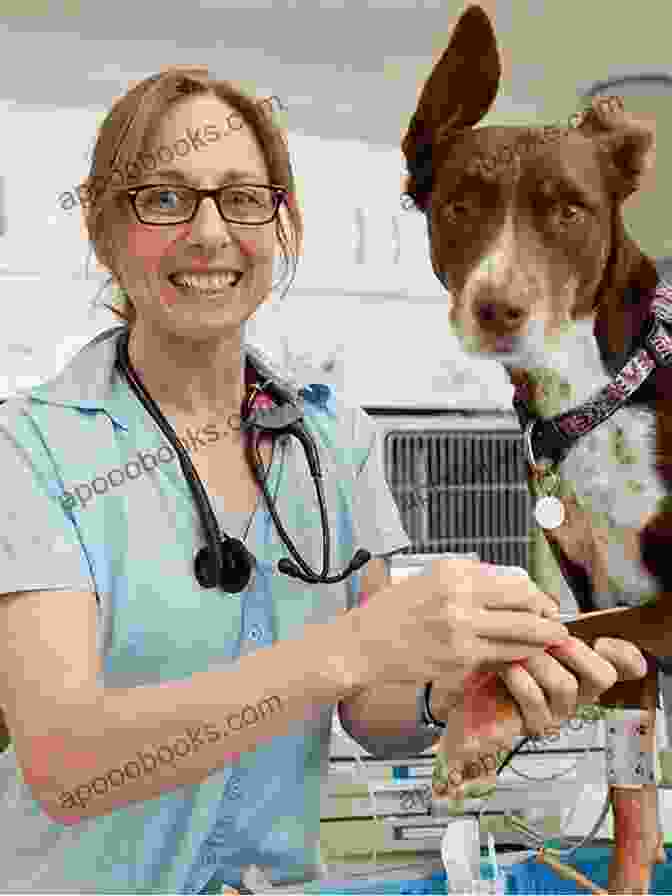 Dr. Emily Carter Attending To A Fluffy Golden Retriever Summer With The Country Village Vet: A Gorgeously Uplifting And Heartwarming Romantic Comedy To Escape With (The Little Village On The Green 1)