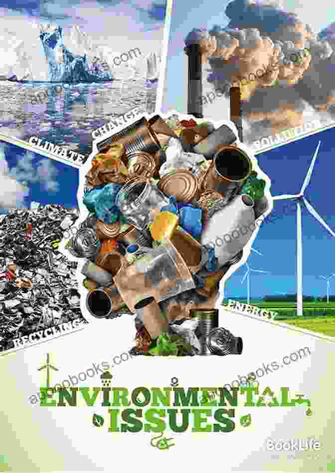 Environmental Impact Consumer Culture (Issues That Concern You)