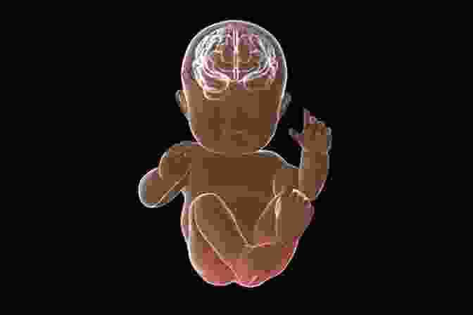 Image Of A Baby's Brain Developing Baby Light My Fire: A Steamy Firefighter Romance Collection