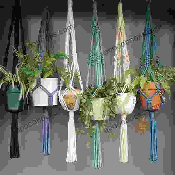 Image Of A Macrame Plant Hanger Beginning Quilting The Super Simple Way: All The Basics To Get You Started 15 Projects With Step By Step Instructions