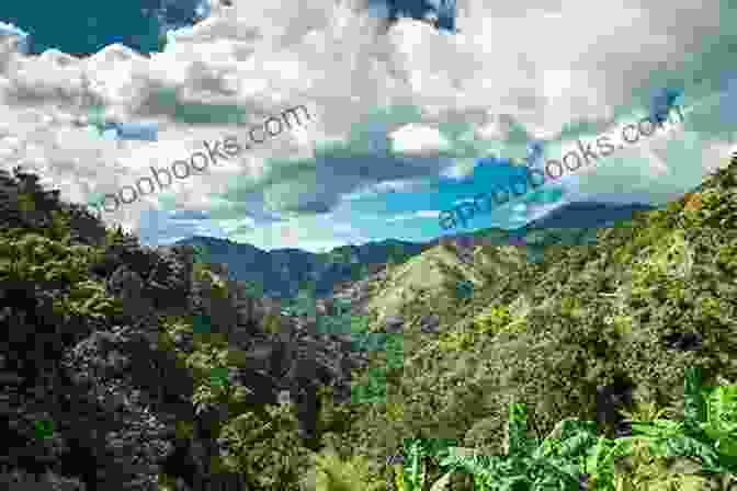 Jamaica's Lush Green Mountains And Crystal Clear Waters 50 Shades Of Black Green And Yellow Jamaica Chapter 4