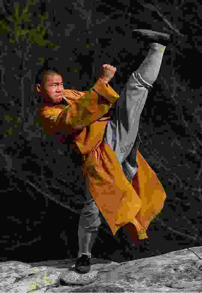 Martial Arts Training At Shaolin Temple From The Streets Of Shaolin: The Wu Tang Saga