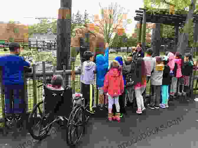 Montage Of Photographs Showcasing The Zoo's Impact On Families, Children, And The Community Elmwood Park Zoo (Images Of Modern America)