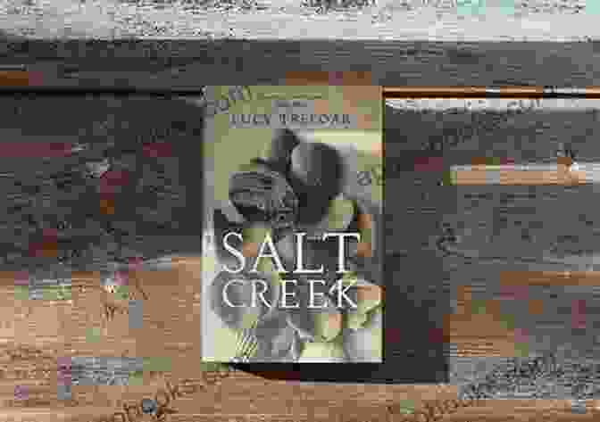 Salt Creek Book Cover, Featuring A Silhouette Of A Figure Standing In A Field With A Creek In The Background, With The Title 'Salt Creek' And Author Name 'Lee Everett' Displayed Prominently Salt Creek Lee Everett