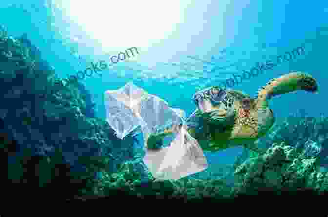 Sea Turtles Face Threats From Plastic Pollution Marine Life: Wonders Of Creation