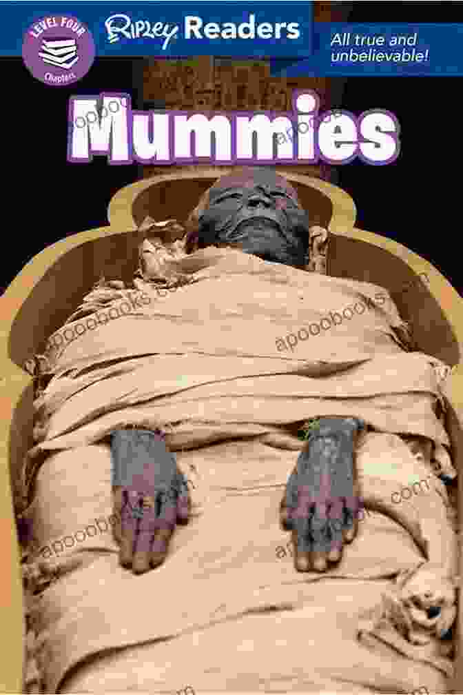 Sugar Mummies Book Cover, Featuring A Vibrant And Enigmatic Image Of Two Women In Provocative Poses. Sugar Mummies (Oberon Modern Plays)