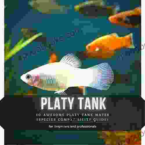 Platy Tank: 10 Awesome Platy Tank Mates (Species Compatibility Guide)