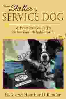 From Shelter To Service Dog