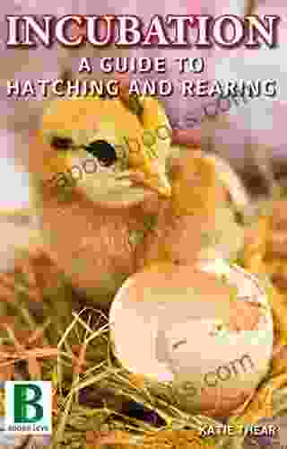 Incubation: A Guide To Hatching And Rearing