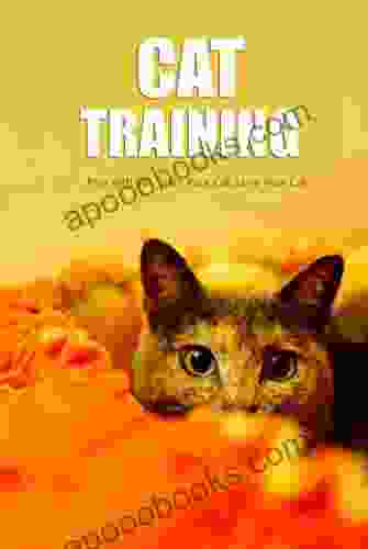 Cat Training: Play With Cat Train Your Cat Love Your Cat : Complete Guide For Beginners