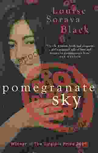 Pomegranate Sky (Aurora New Fiction)