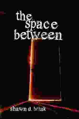 The Space Between Shawn D Brink